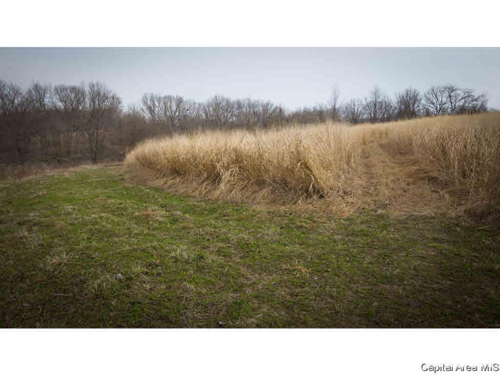 27640 240th Street Barry, IL 62312 - Photo 13 of 36 Gallery Image 13