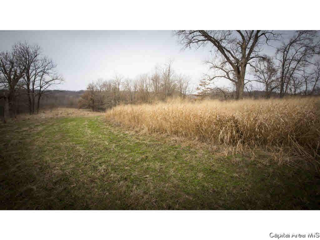 27640 240th Street Barry, IL 62312 - Photo 16 of 36 Gallery Image 16