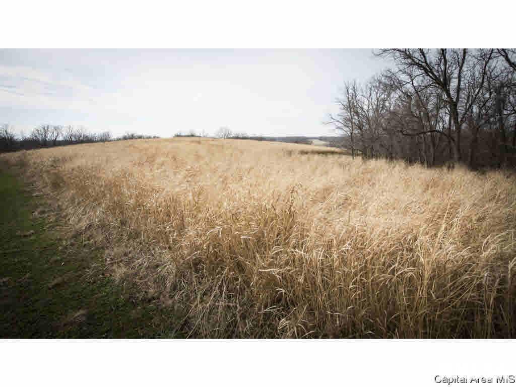 27640 240th Street Barry, IL 62312 - Photo 17 of 36 Gallery Image 17