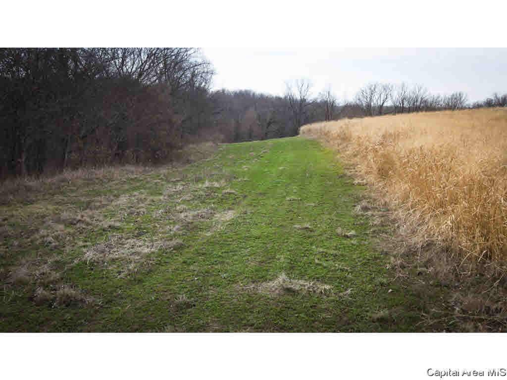 27640 240th Street Barry, IL 62312 - Photo 18 of 36 Gallery Image 18