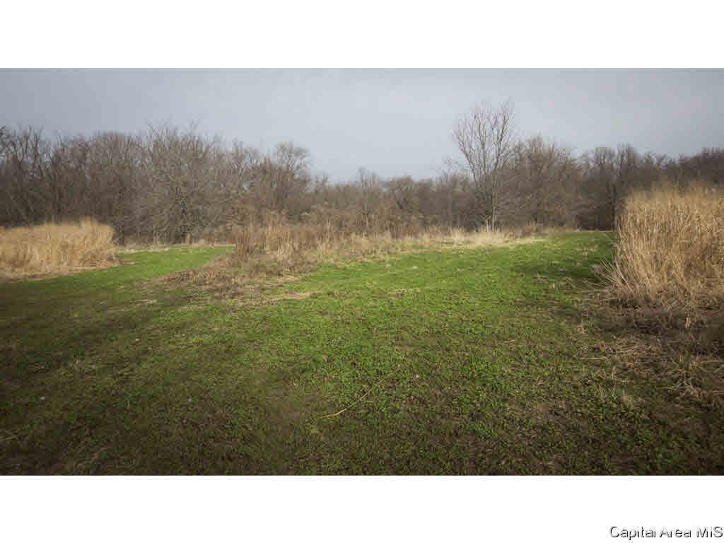 27640 240th Street Barry, IL 62312 - Photo 19 of 36 Gallery Image 19