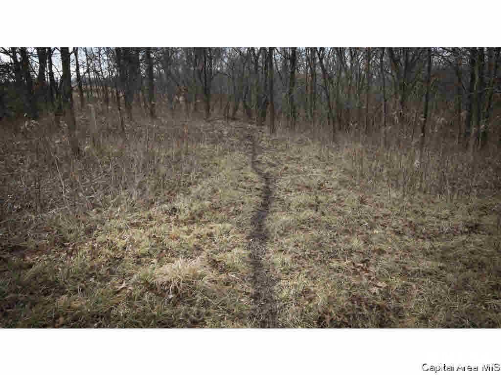 27640 240th Street Barry, IL 62312 - Photo 20 of 36 Gallery Image 20