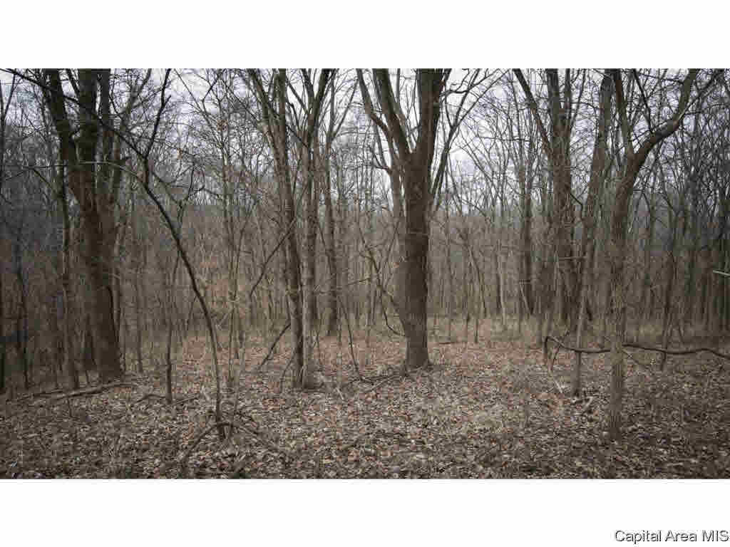 27640 240th Street Barry, IL 62312 - Photo 23 of 36 Gallery Image 23
