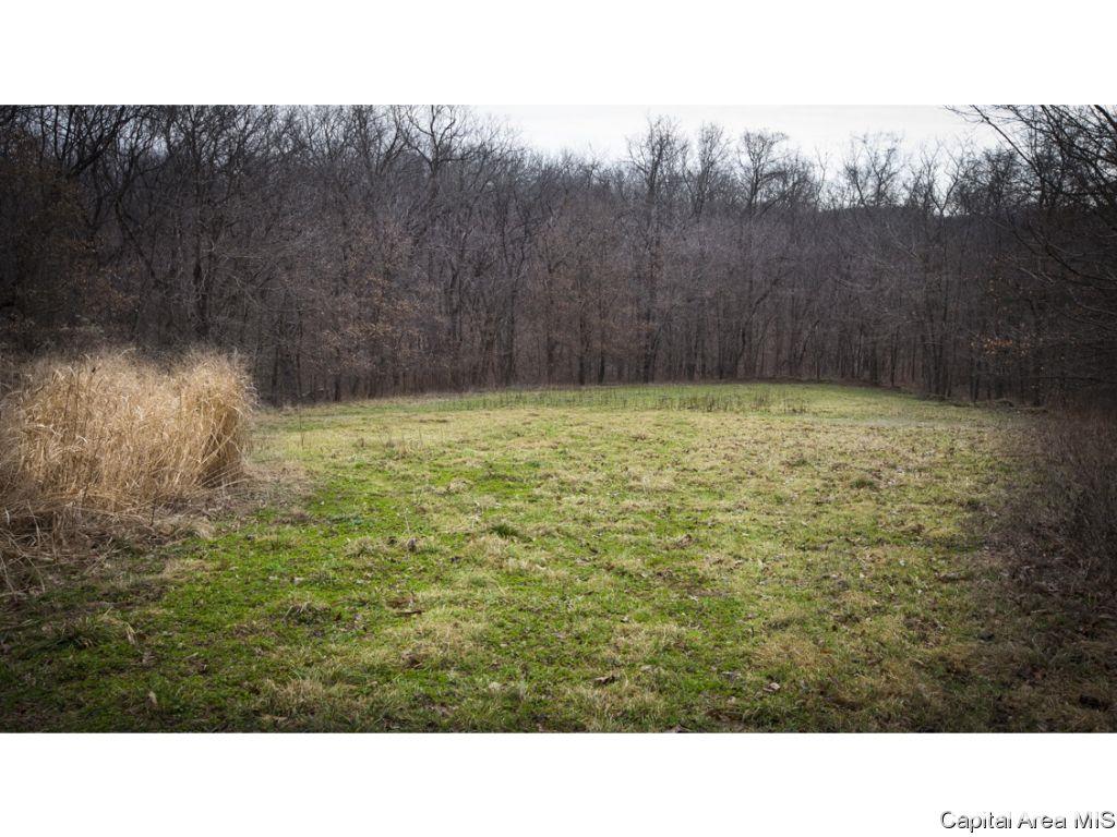27640 240th Street Barry, IL 62312 - Photo 25 of 36 Gallery Image 25