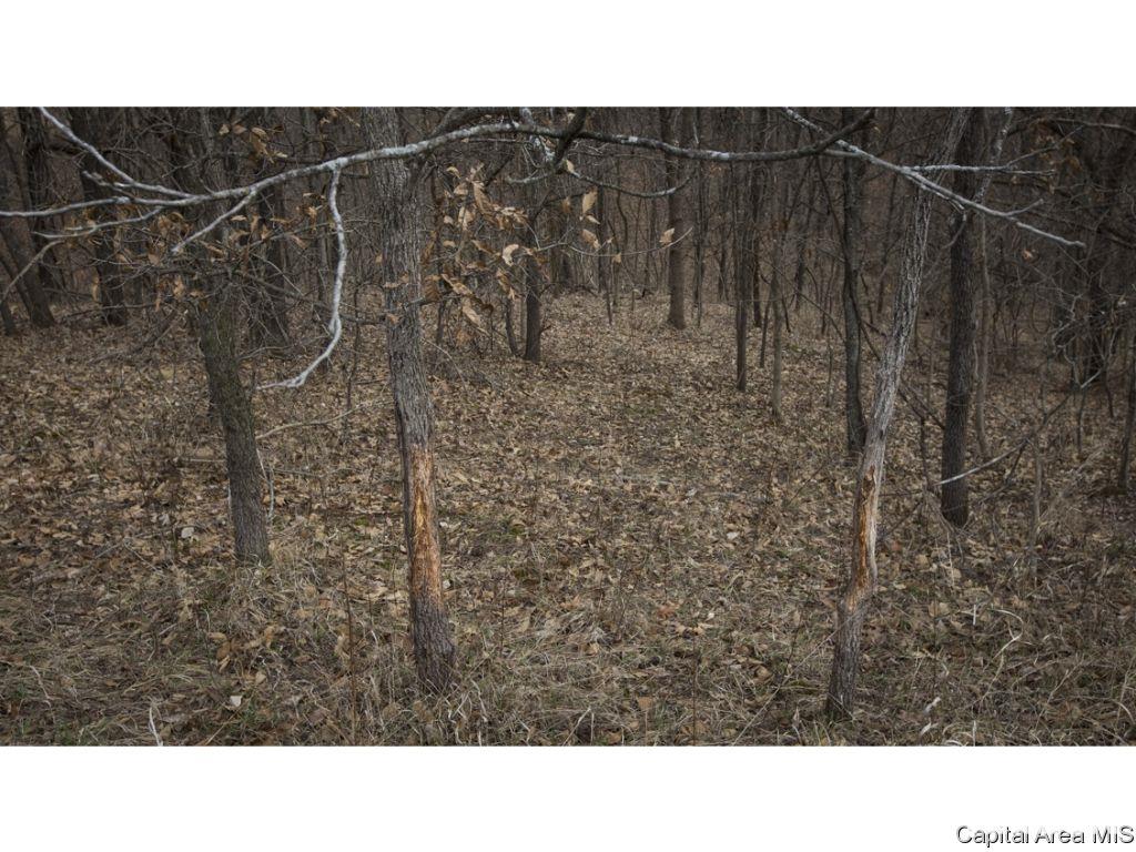 27640 240th Street Barry, IL 62312 - Photo 26 of 36 Gallery Image 26