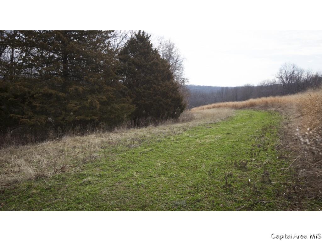 27640 240th Street Barry, IL 62312 - Photo 27 of 36 Gallery Image 27