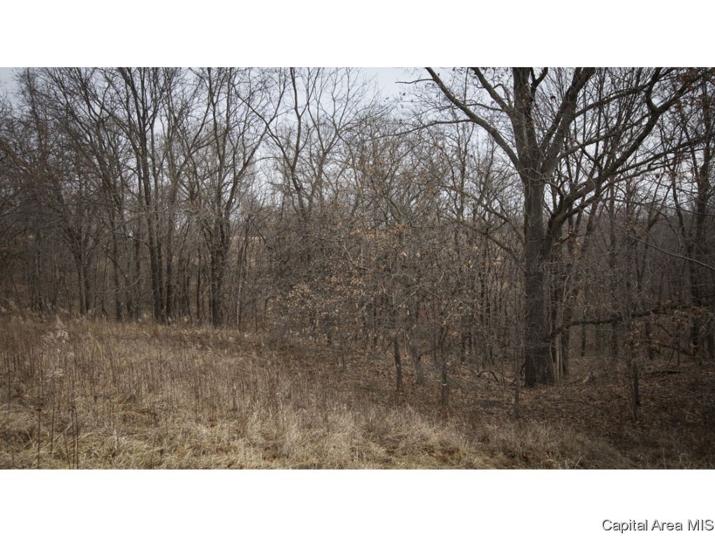 27640 240th Street Barry, IL 62312 - Photo 28 of 36 Gallery Image 28