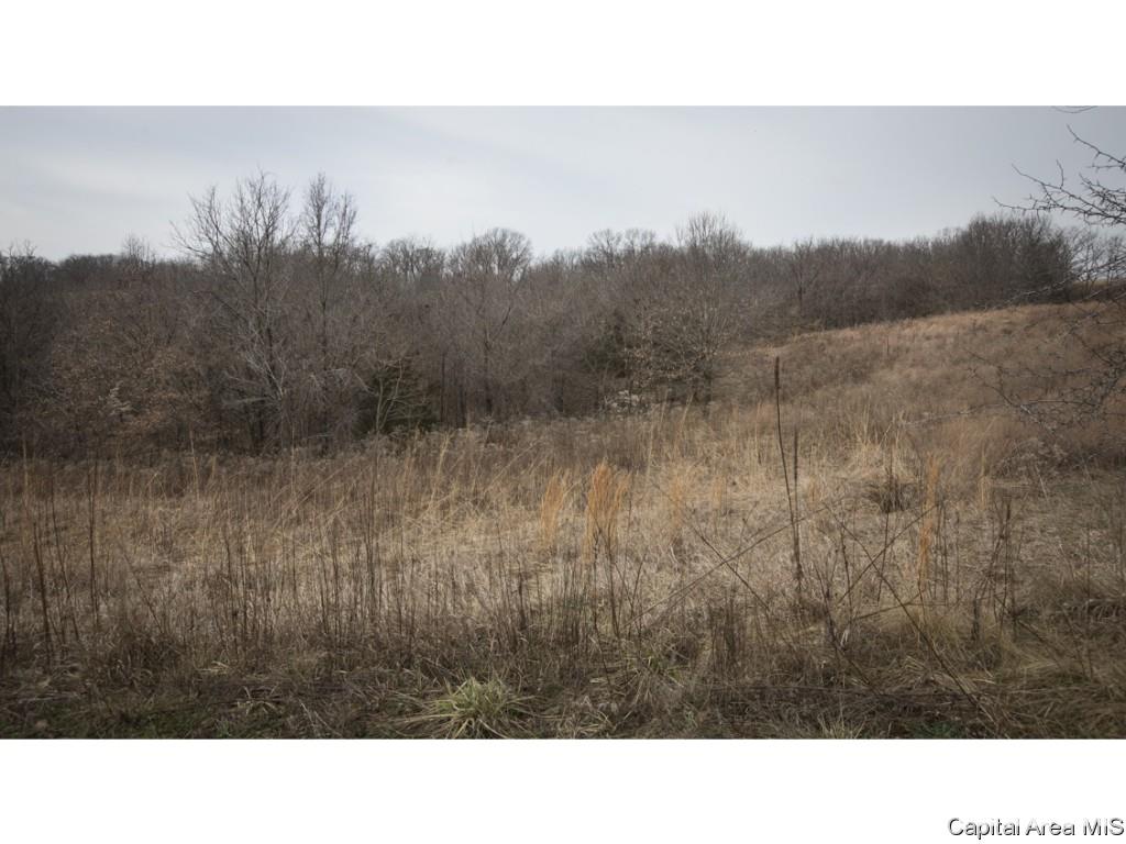 27640 240th Street Barry, IL 62312 - Photo 33 of 36 Gallery Image 33