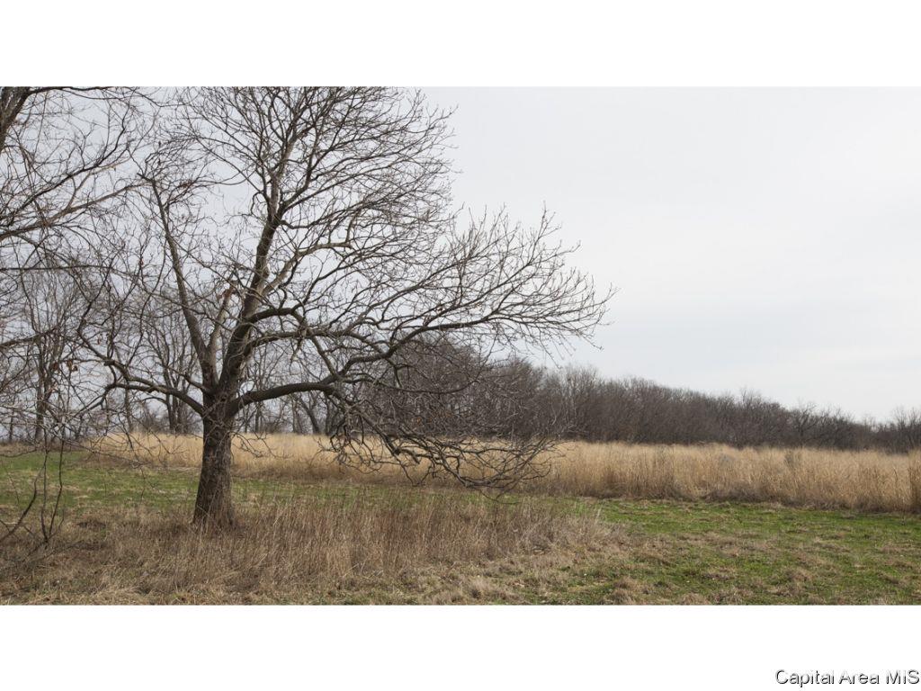 27640 240th Street Barry, IL 62312 - Photo 35 of 36 Gallery Image 35