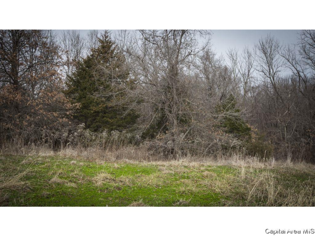 27640 240th Street Barry, IL 62312 - Photo 36 of 36 Gallery Image 36
