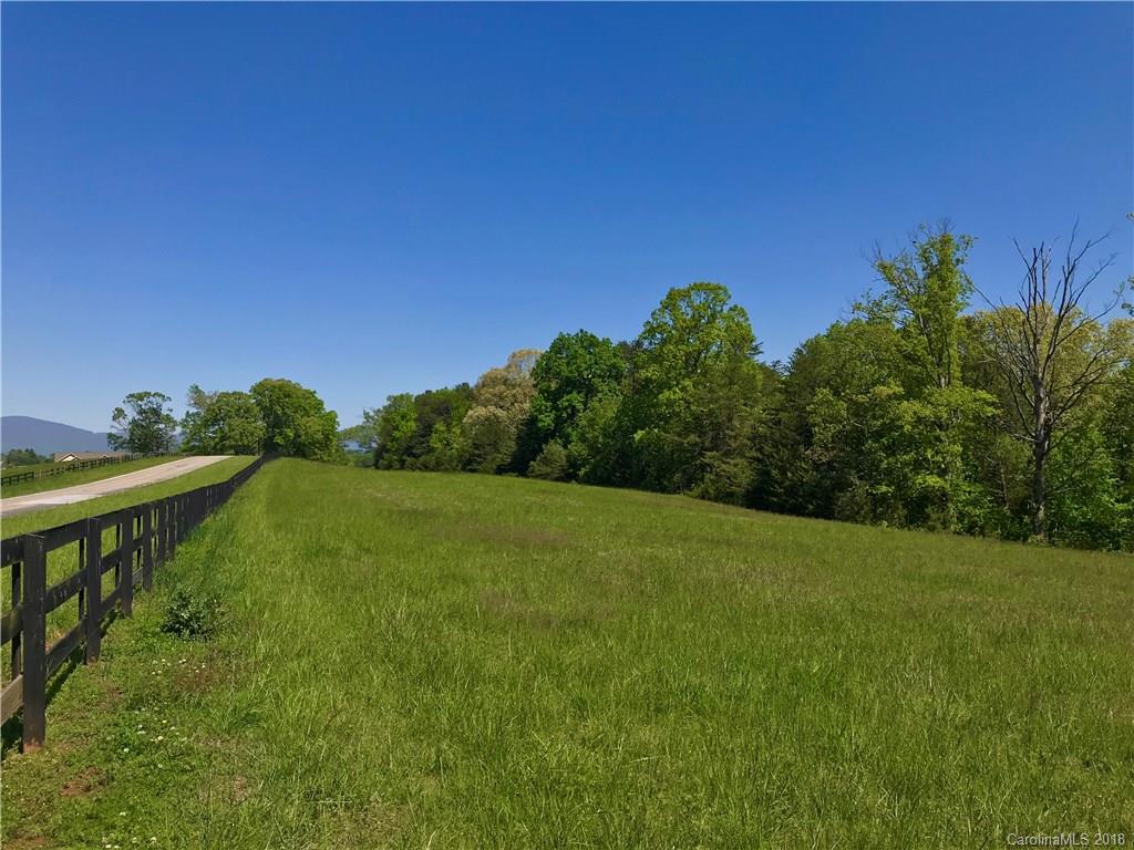 Tbd A R Thompson Road, Unit LOT 10 Mill Spring, NC 28756 - Photo 1 of 10