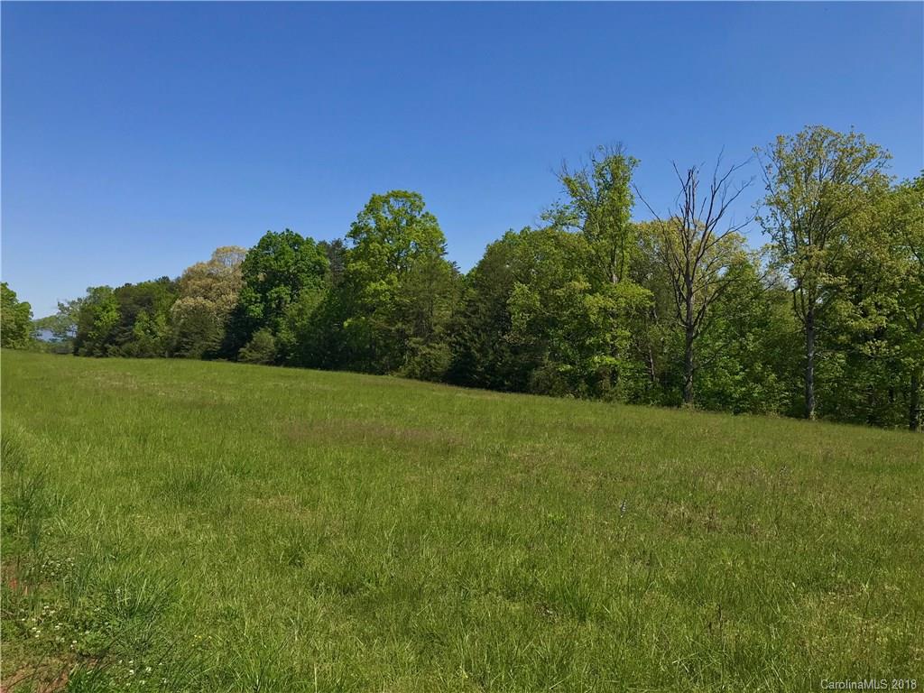 Tbd A R Thompson Road, Unit LOT 10 Mill Spring, NC 28756 - Photo 3 of 10