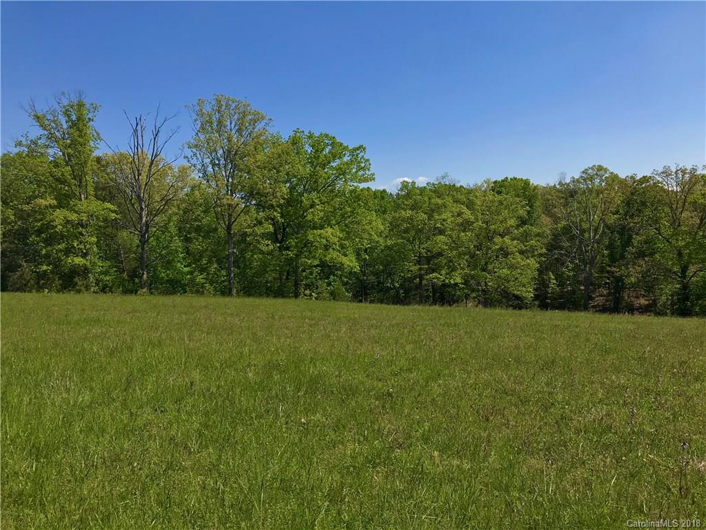 Tbd A R Thompson Road, Unit LOT 10 Mill Spring, NC 28756 - Photo 4 of 10
