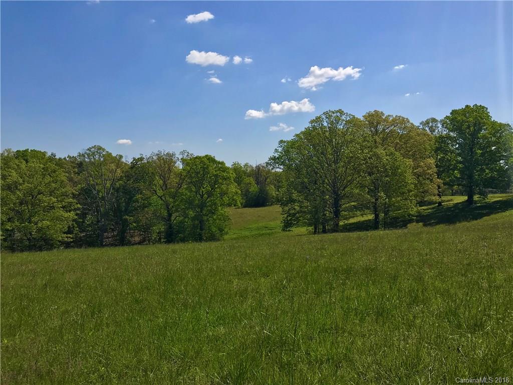 Tbd A R Thompson Road, Unit LOT 10 Mill Spring, NC 28756 - Photo 5 of 10