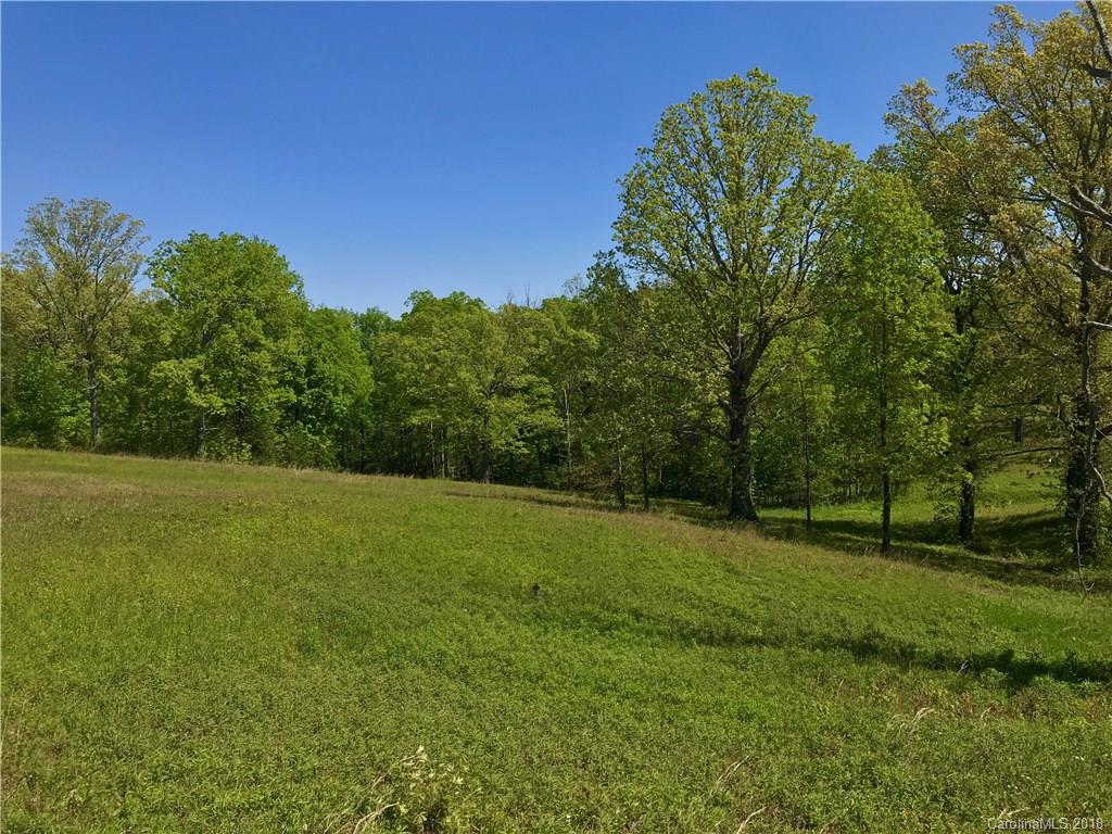 Tbd A R Thompson Road, Unit LOT 10 Mill Spring, NC 28756 - Photo 6 of 10