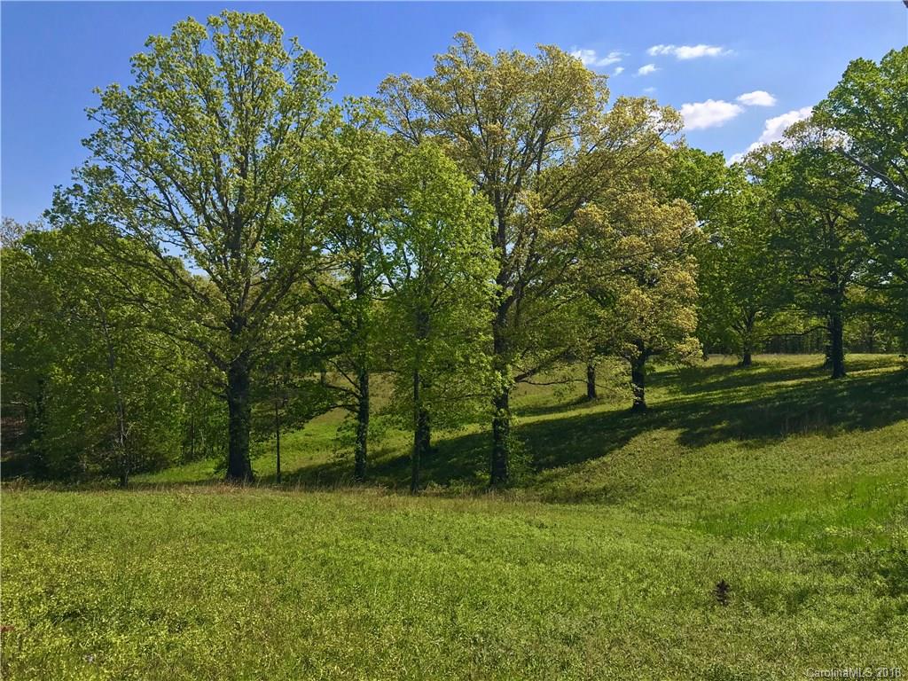 Tbd A R Thompson Road, Unit LOT 10 Mill Spring, NC 28756 - Photo 7 of 10