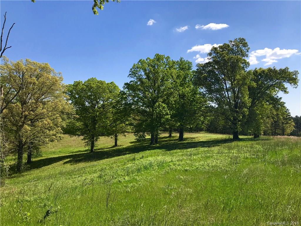 Tbd A R Thompson Road, Unit LOT 10 Mill Spring, NC 28756 - Photo 8 of 10