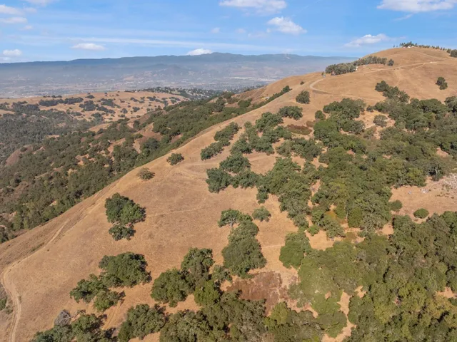 a view of a dry yard with mountains in the background