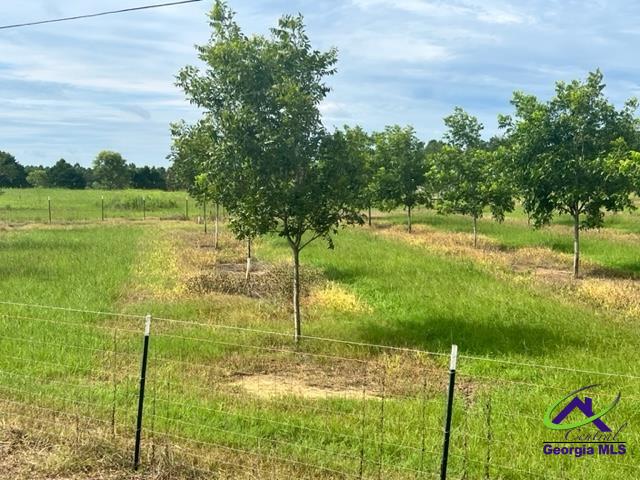 Henderson Springs Road Elko, GA 31025 - Photo 6 of 24