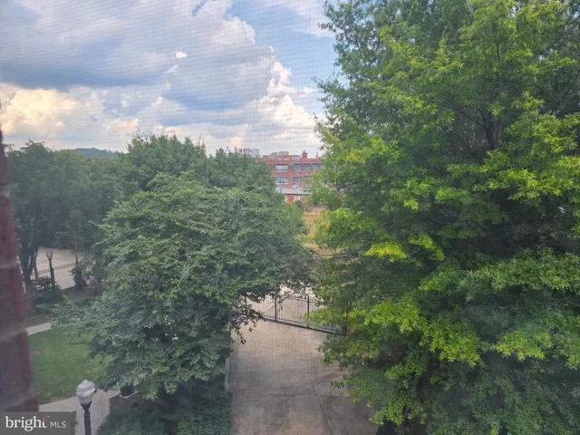 a view of a terrace with chairs