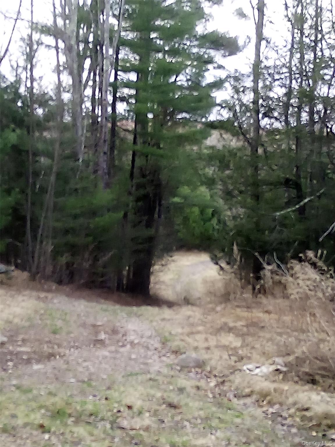 Gibber Road Kiamesha Lake, NY 12751 - Photo 4 of 5