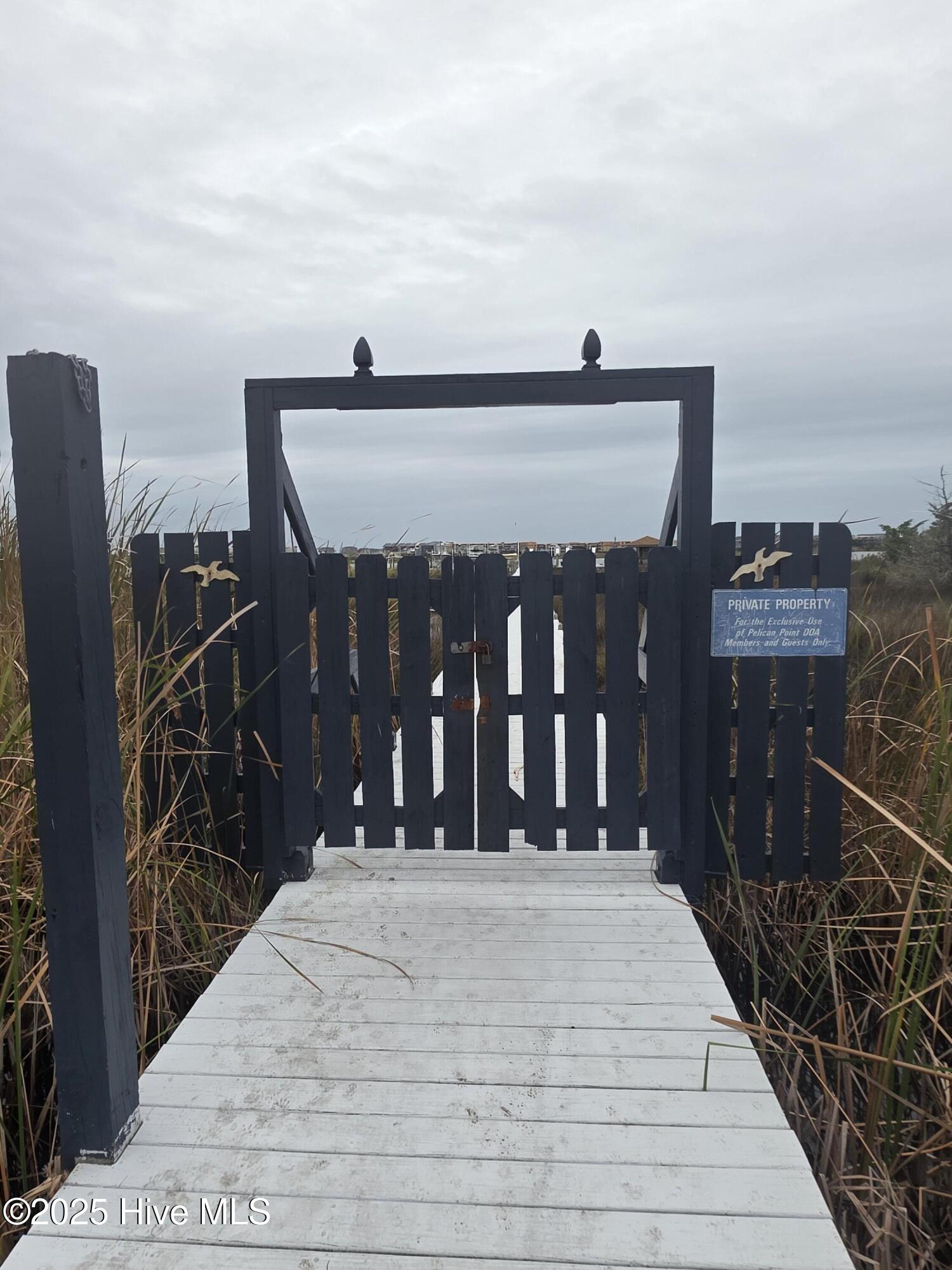 157 Big Hammock Point Road Sneads Ferry, NC 28460 - Photo 10 of 17 19