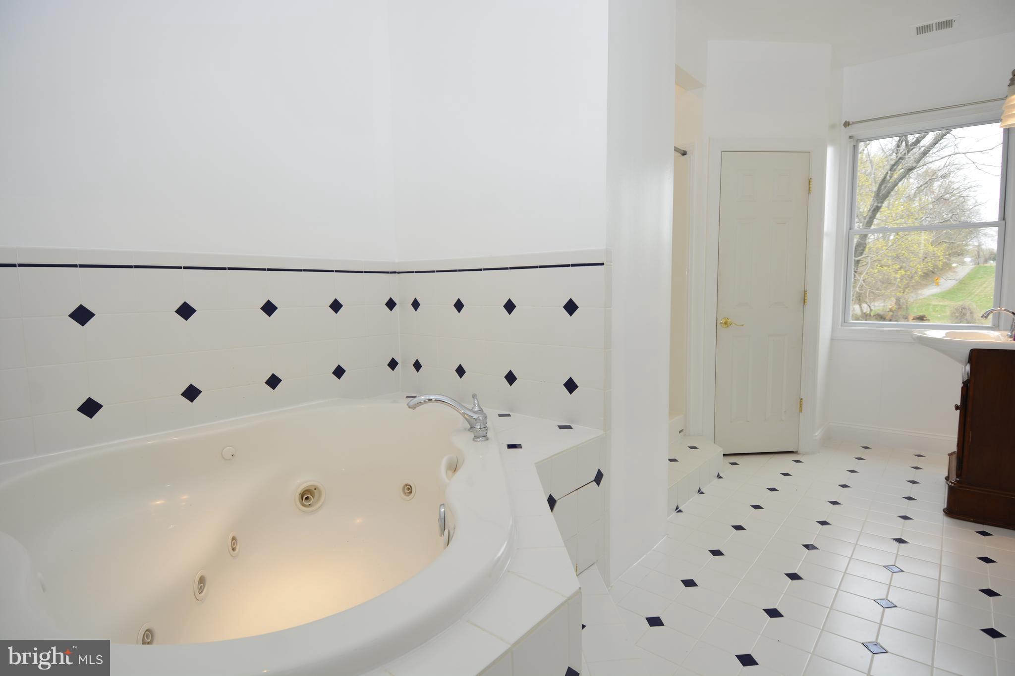 13654 Wilt Store Road Leesburg, VA 20176 - Photo 21 of 30 Bath (Master)