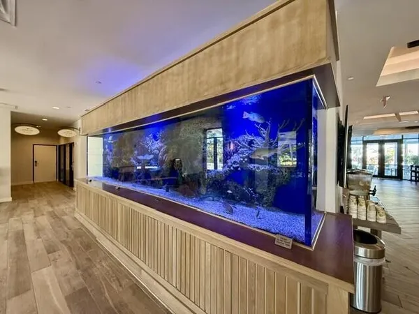 a view of a living room with wooden floor