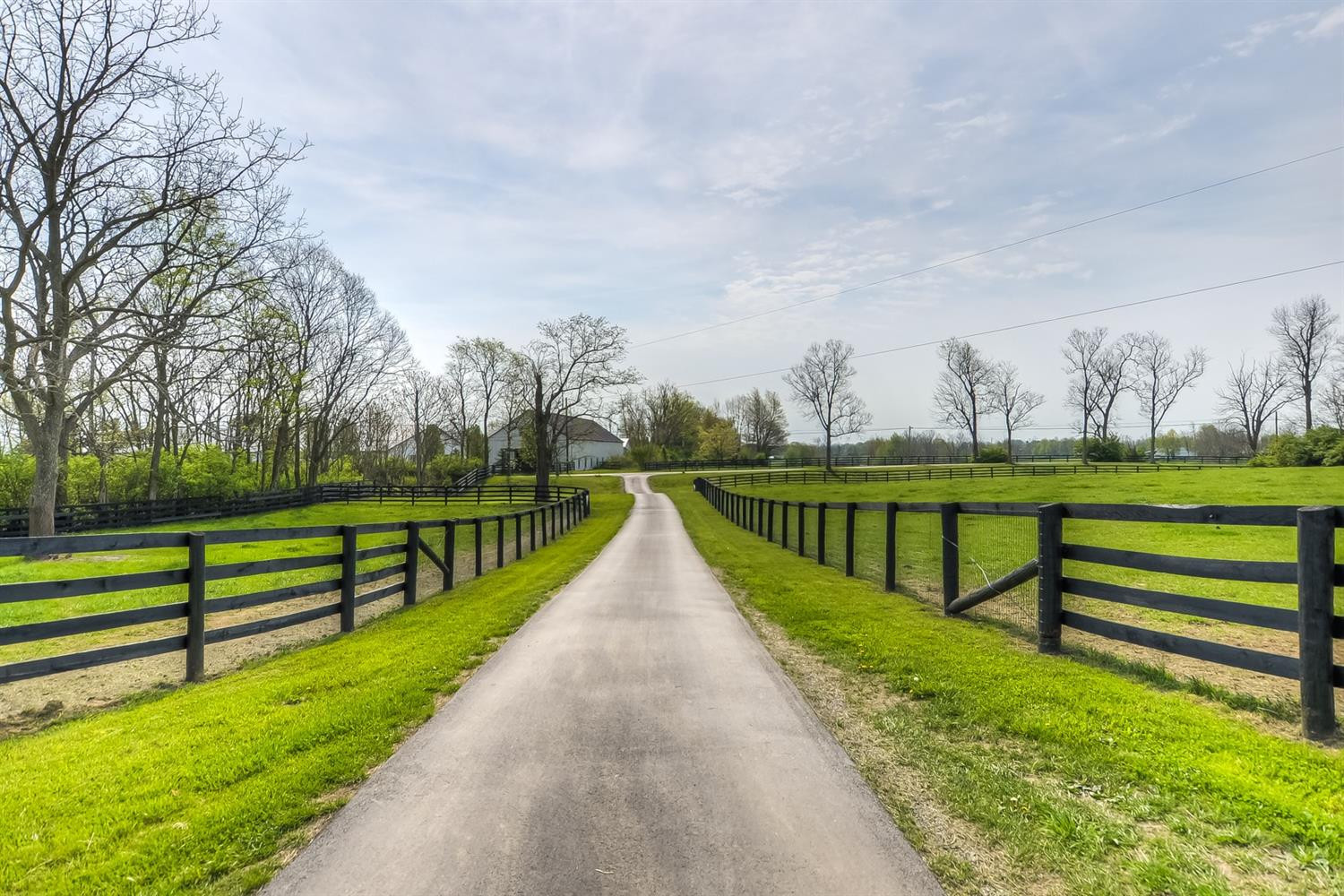 4824 Bryan Station Road Lexington, KY 40516 - Photo 16 of 21 Photo 16