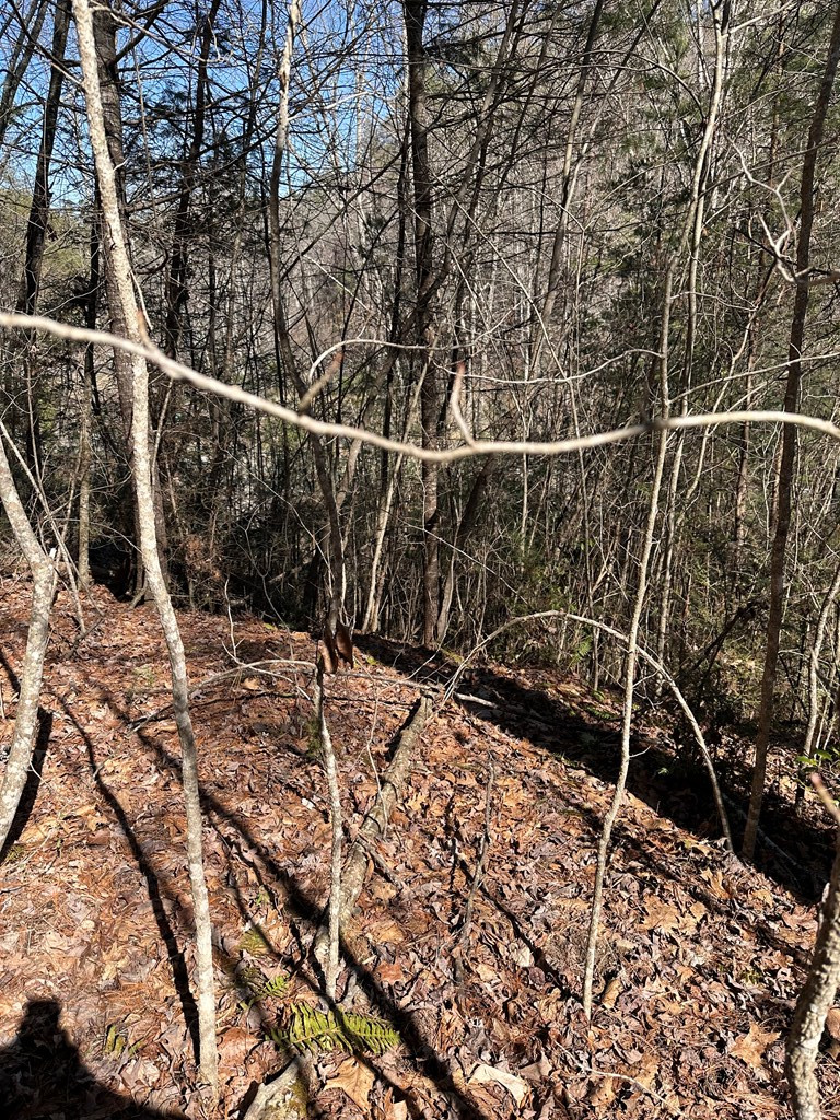 1.5-acre Trail Road Murphy, NC 28906 - Photo 13 of 17 Gallery Image 13