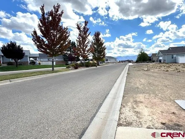 a view of road with large trees