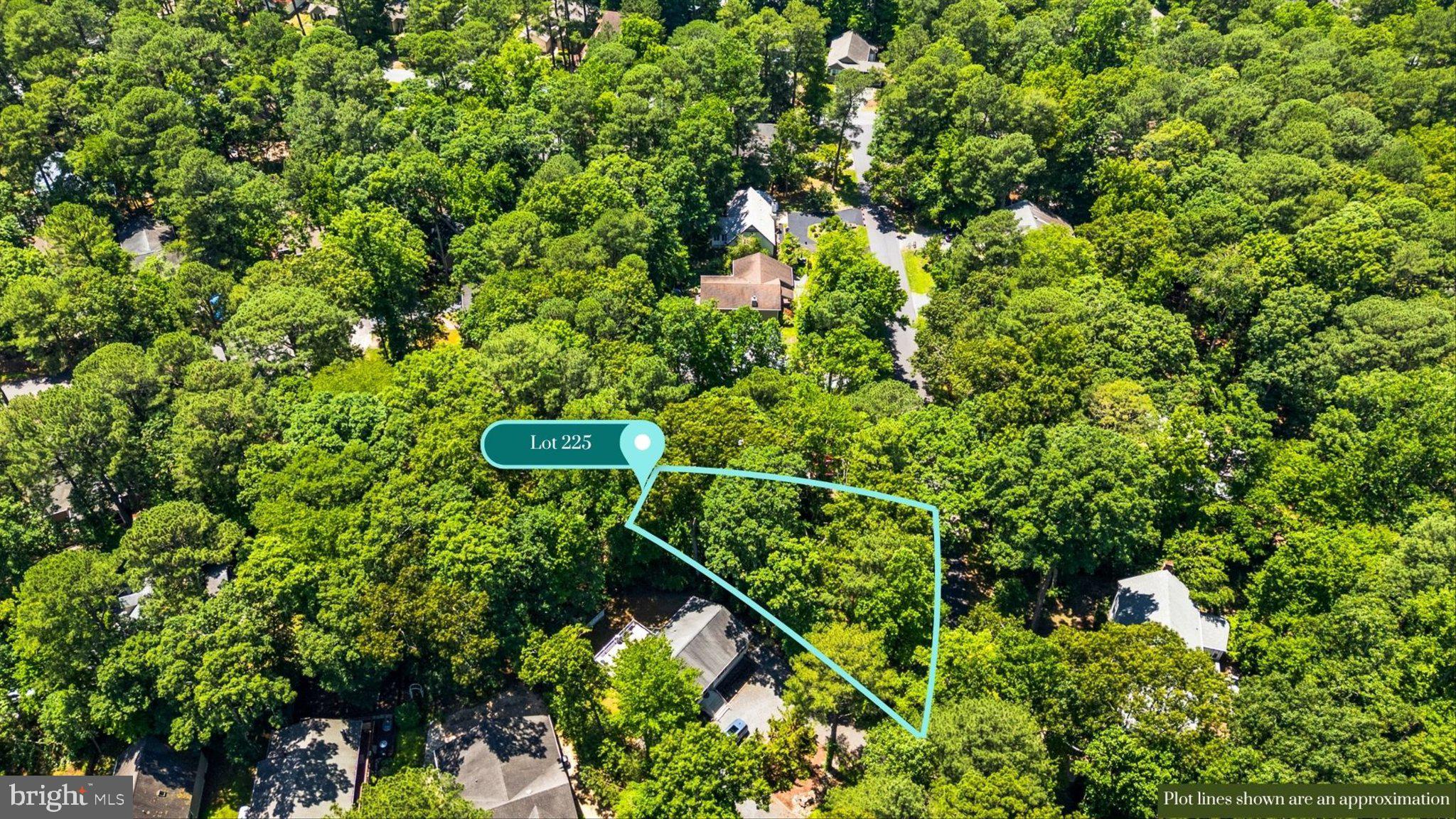 12 Moonraker Road Ocean Pines, MD 21811 - Photo 10 of 17 Secluded lot amidst lush greenery.