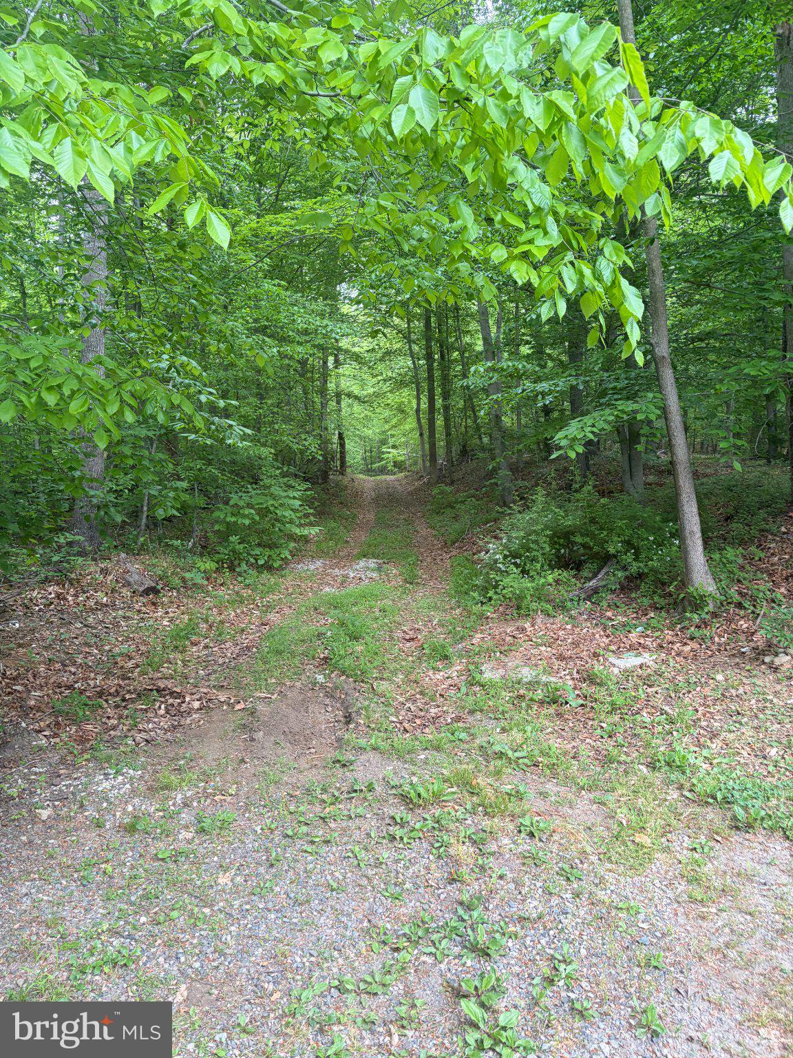 16921 Batestown Road Dumfries, VA 22025 - Photo 2 of 10 Serene path through lush greenery.