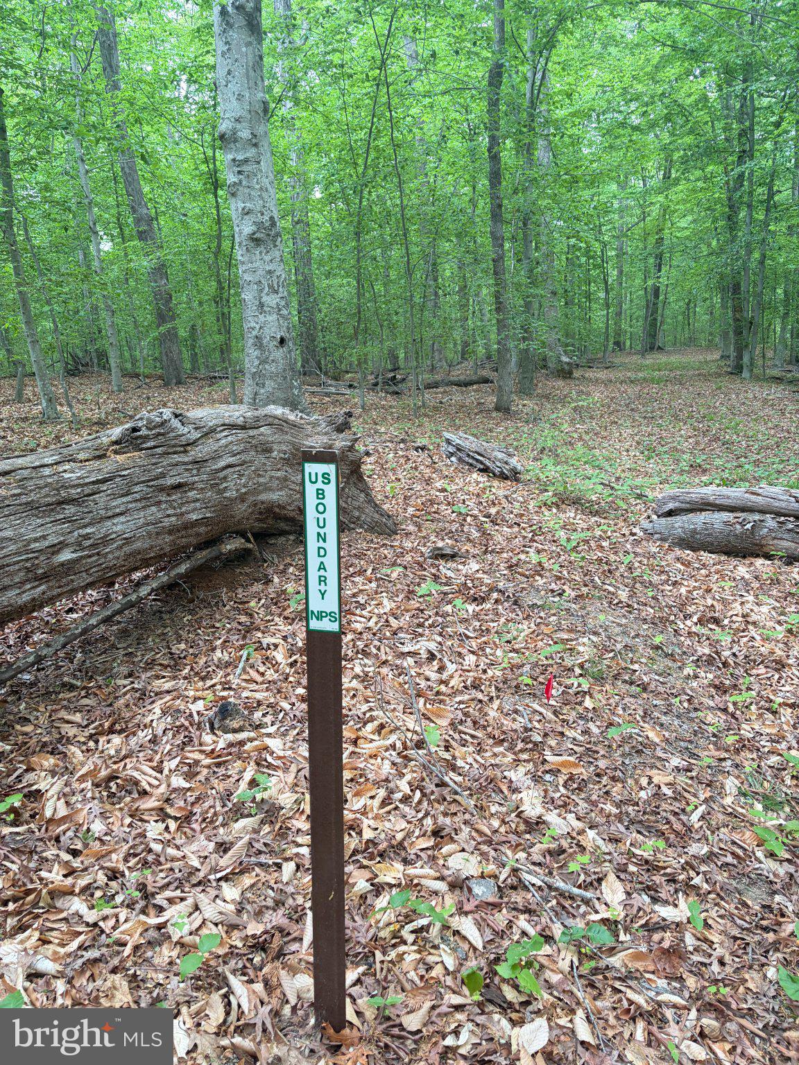 16921 Batestown Road Dumfries, VA 22025 - Photo 9 of 10 Tranquil forest trail awaits explorers.