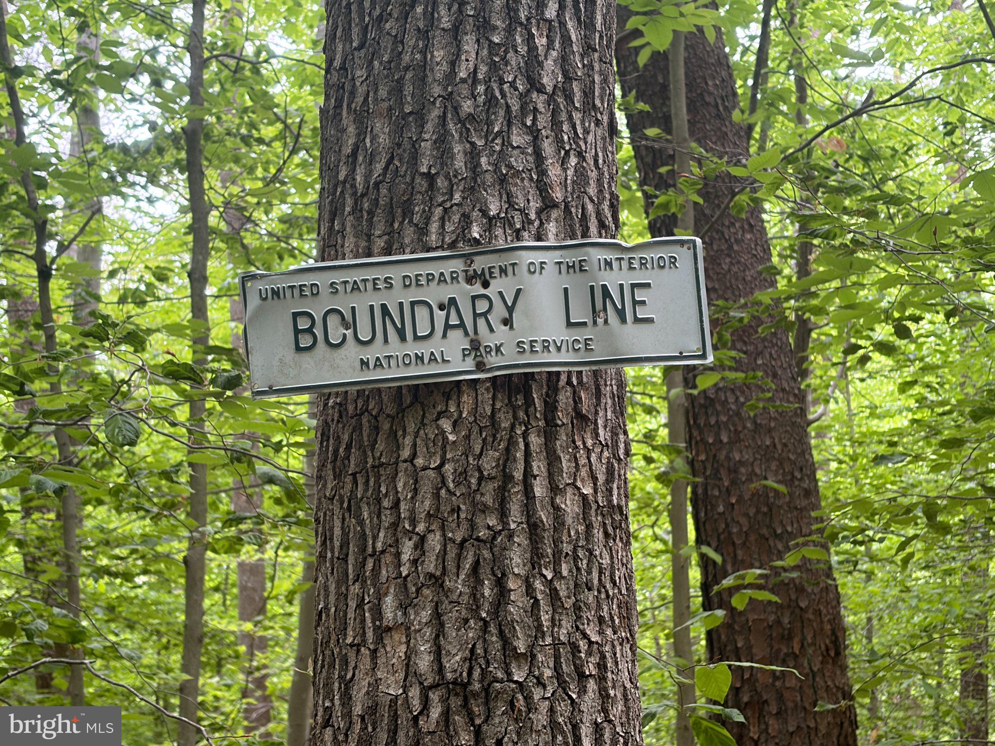 16921 Batestown Road Dumfries, VA 22025 - Photo 10 of 10 Boundary Line: Nature's Divide