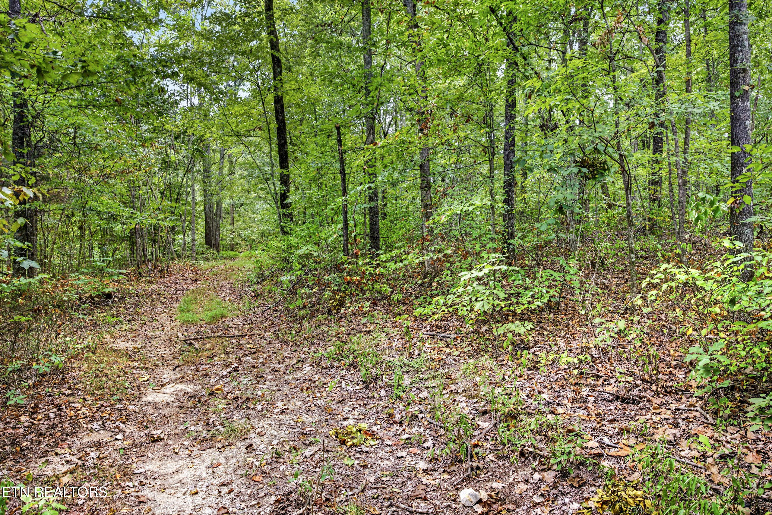 Lot 22 Timber Ridge Lane Celina, TN 38551 - Photo 2 of 12 2-8N5A6483