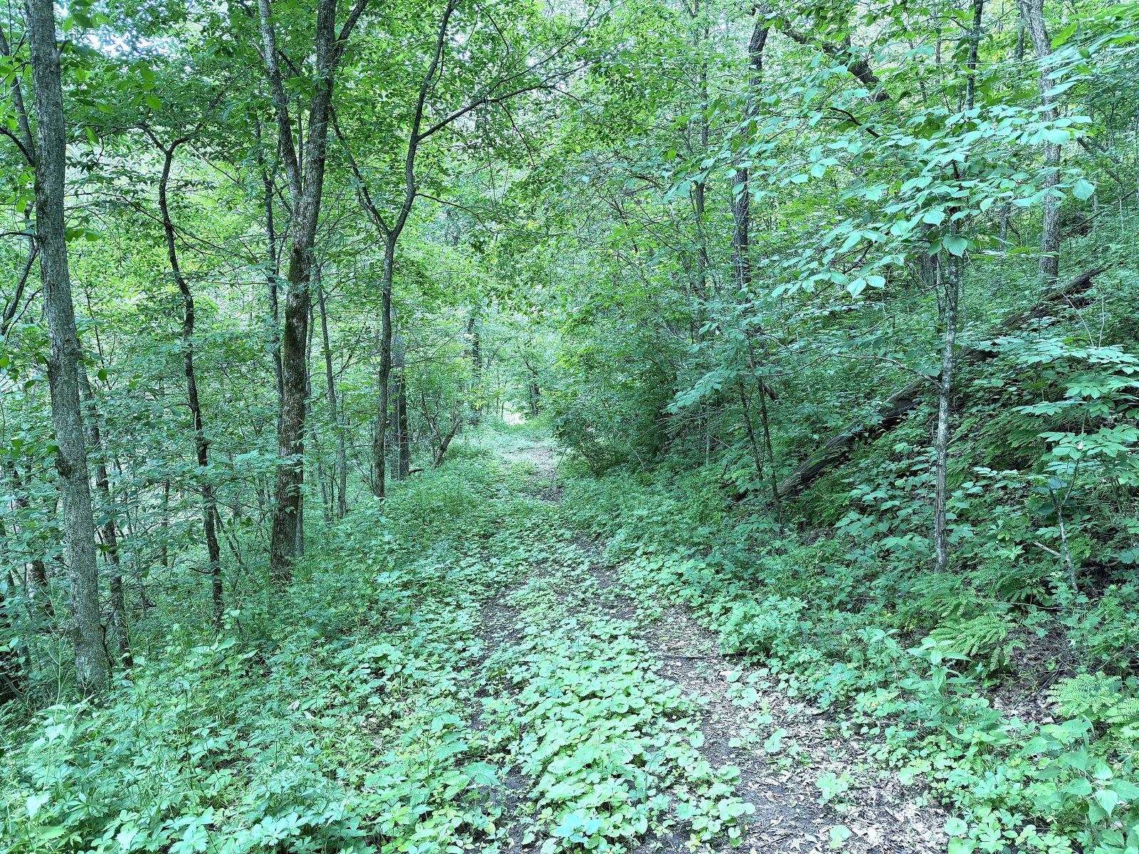 10370 Prestegard Road Soldiers Grove, WI 54655 - Photo 10 of 18