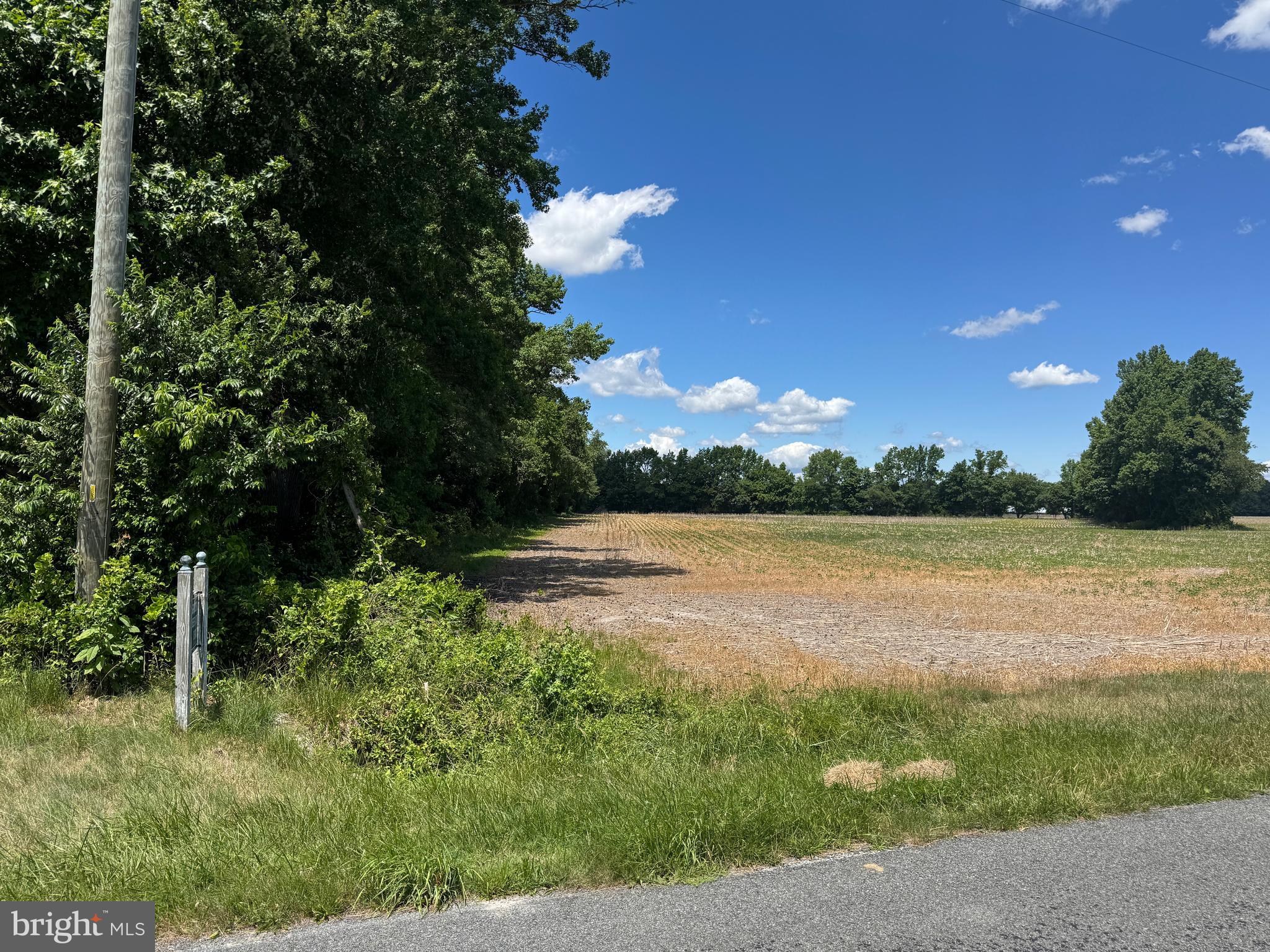 953 White Marsh Branch Road Harrington, DE 19952 - Photo 24 of 39