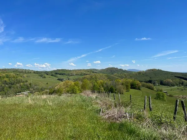 a view of a green field with lots of bushes