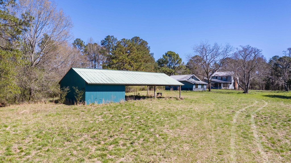 8435 Cartledge Road Box Springs, GA 31801 - Photo 8 of 100 Gallery Image 8