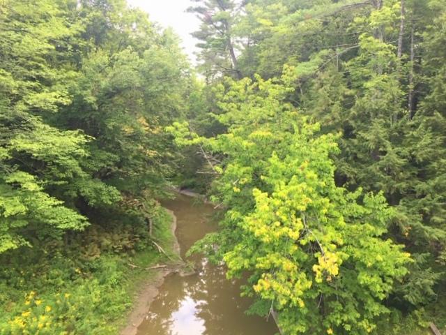 Tbd Farmington Falls Road New Sharon, ME 04955 - Photo 2 of 6 Lot