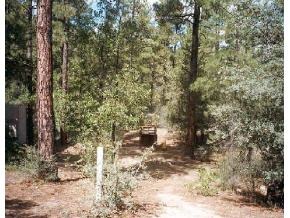 79 East Valley View Road Prescott, AZ 86303 - Photo 1 of 1