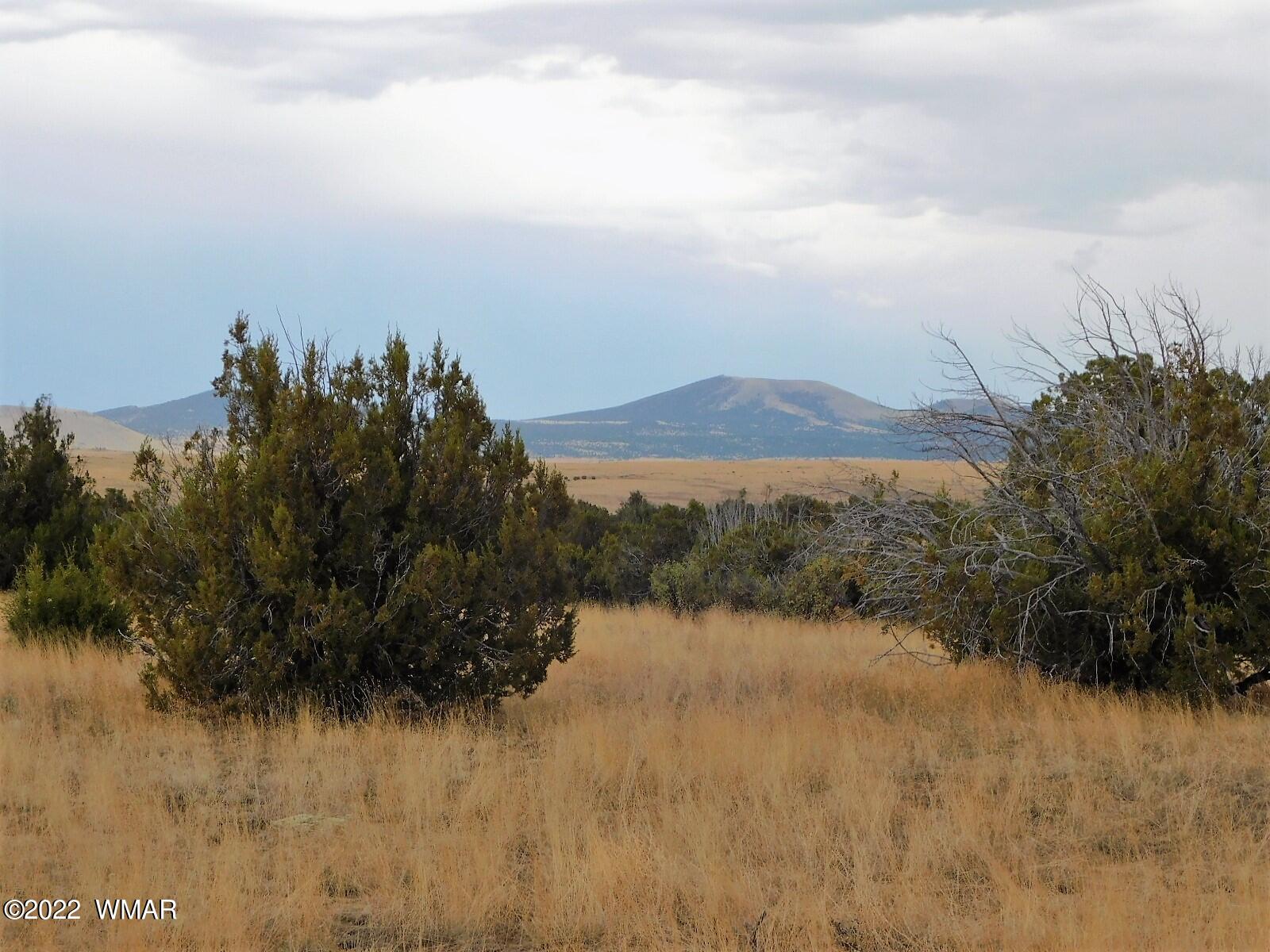 Lot 43 County Road Concho, AZ 85924 - Photo 1 of 18 Gallery Image 1