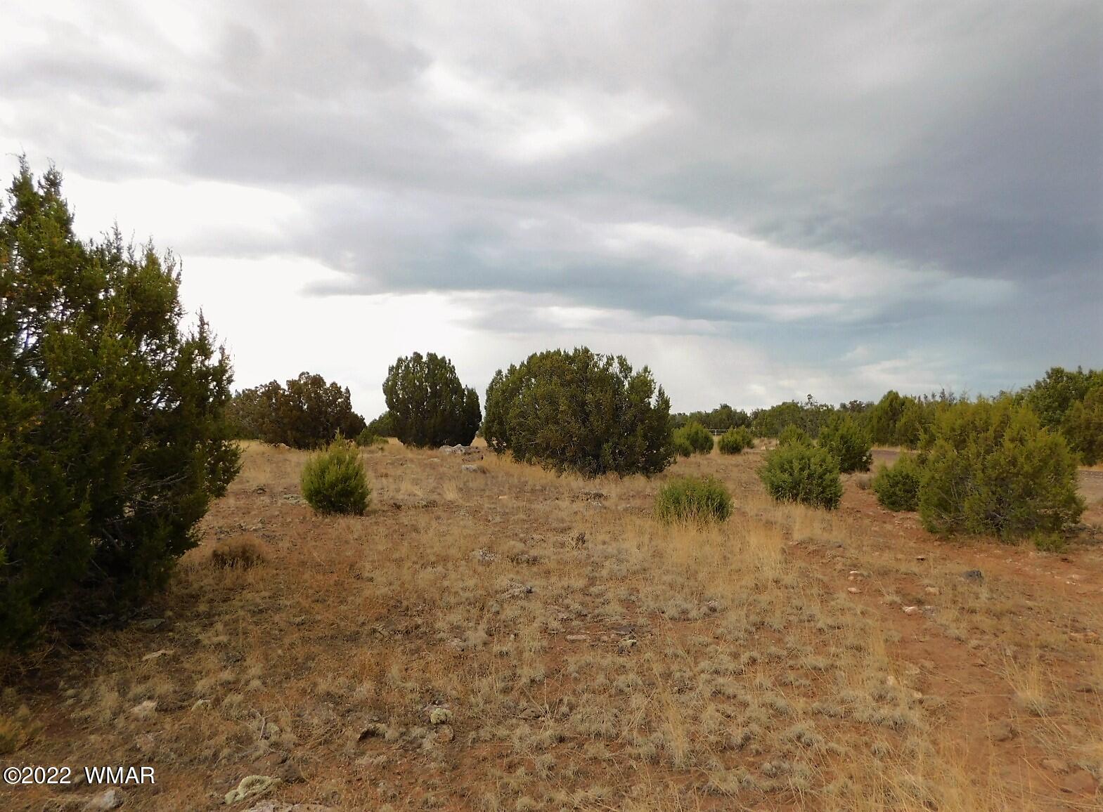 Lot 43 County Road Concho, AZ 85924 - Photo 12 of 18 Gallery Image 12