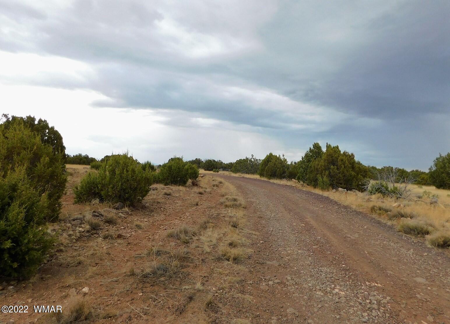 Lot 43 County Road Concho, AZ 85924 - Photo 13 of 18 Gallery Image 13
