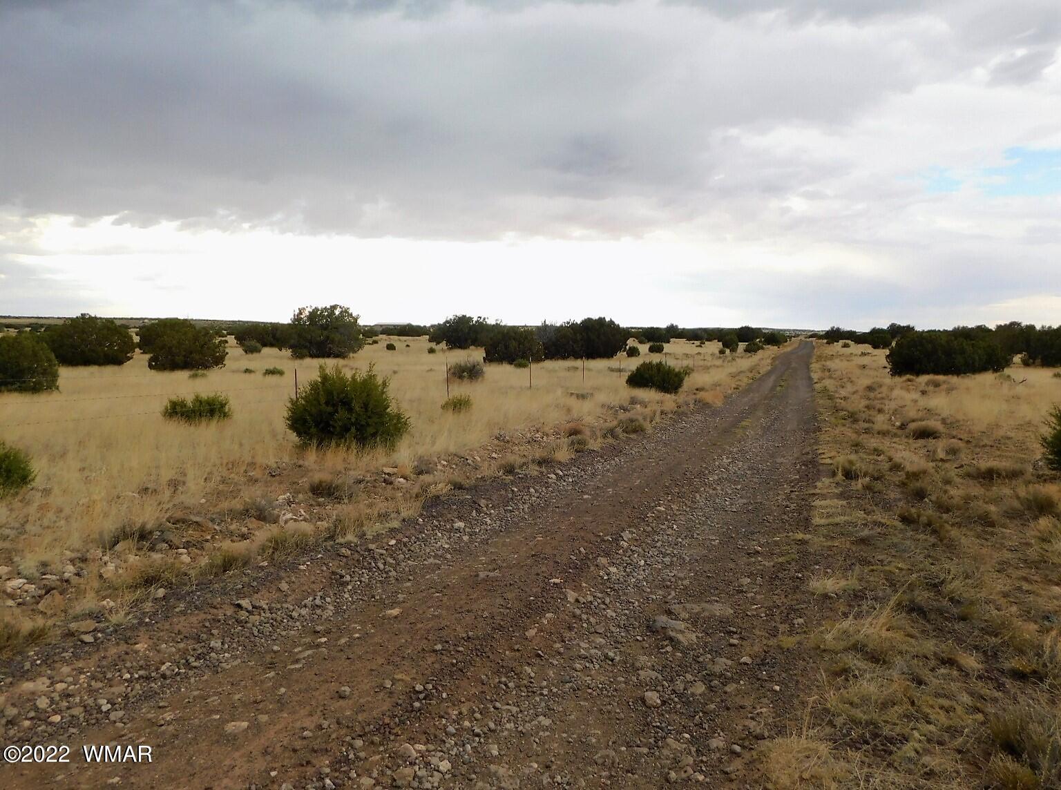 Lot 43 County Road Concho, AZ 85924 - Photo 14 of 18 Gallery Image 14