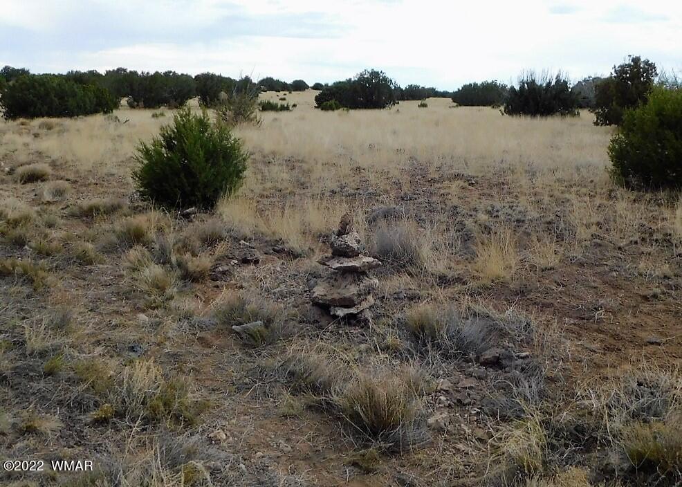 Lot 43 County Road Concho, AZ 85924 - Photo 15 of 18 Gallery Image 15