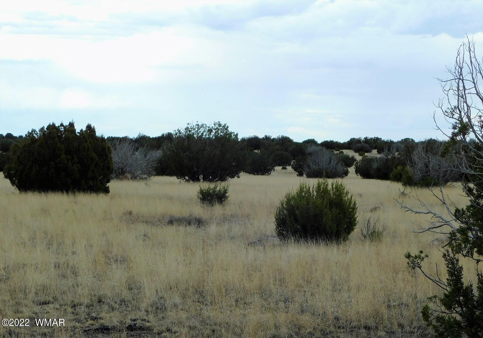 Lot 43 County Road Concho, AZ 85924 - Photo 3 of 18 Gallery Image 3