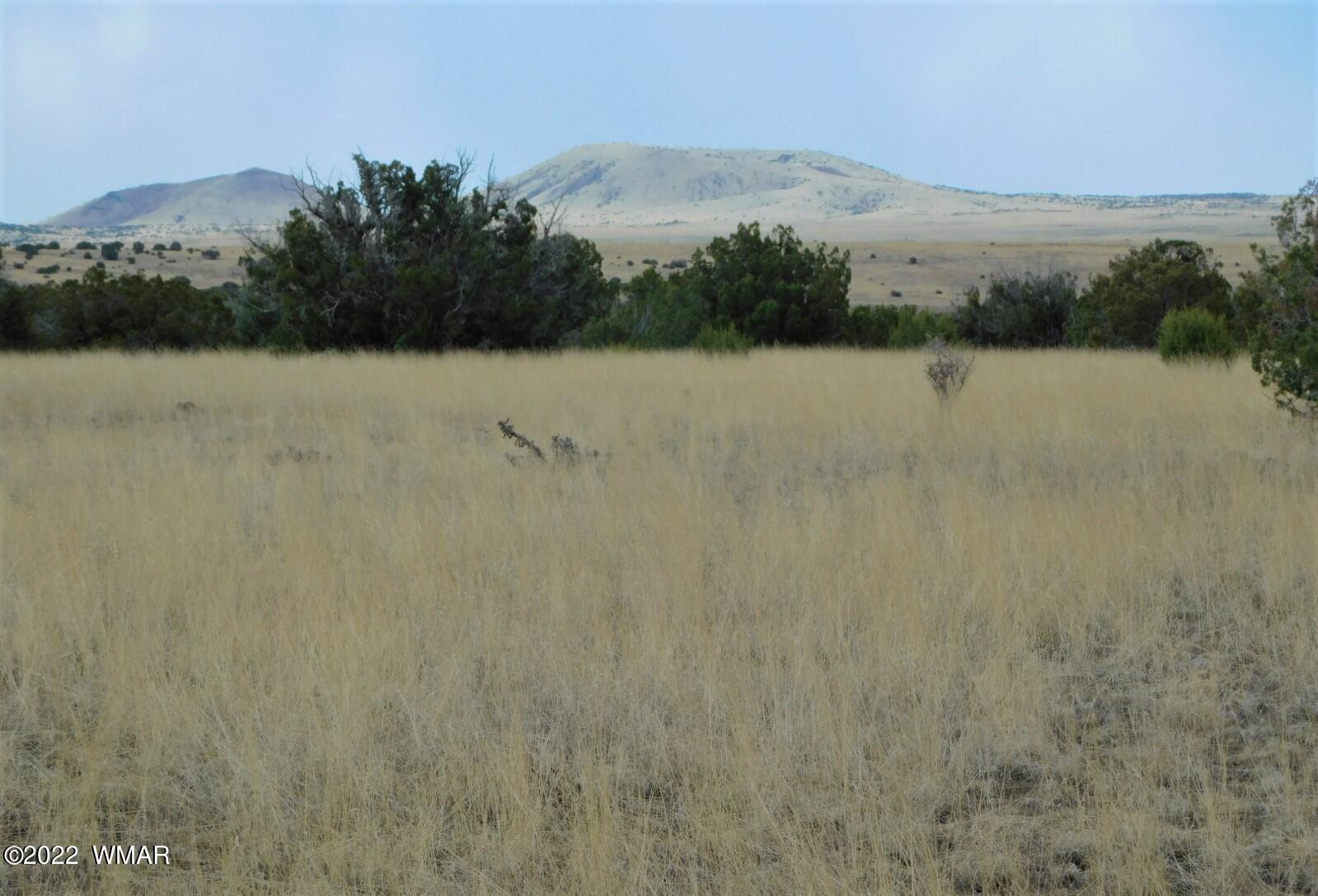 Lot 43 County Road Concho, AZ 85924 - Photo 4 of 18 Gallery Image 4