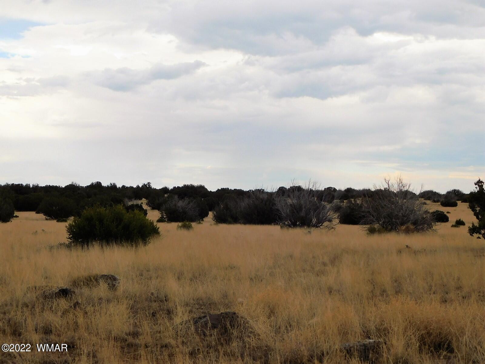 Lot 43 County Road Concho, AZ 85924 - Photo 5 of 18 Gallery Image 5